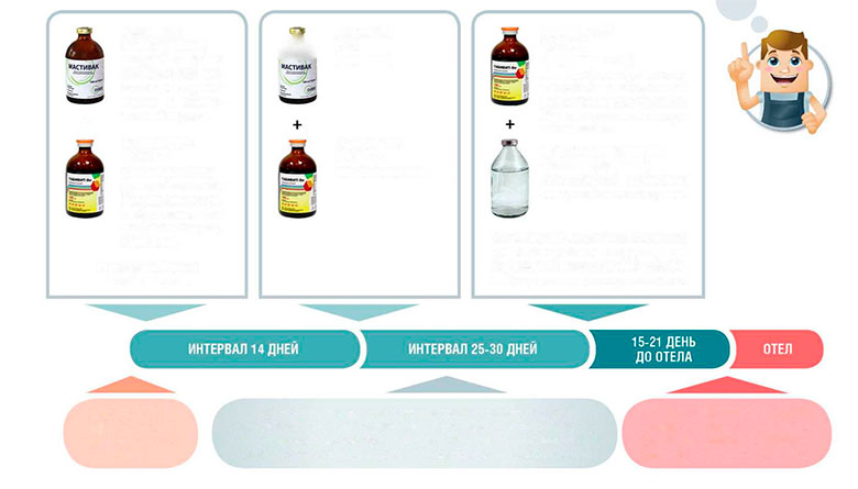 chema10 Схема профилактических мероприятий в сухостойный период